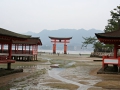 miyajima.jpg